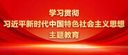 免费后入式日美女pP视频学习贯彻习近平新时代中国特色社会主义思想主题教育_fororder_ad-371X160(2)